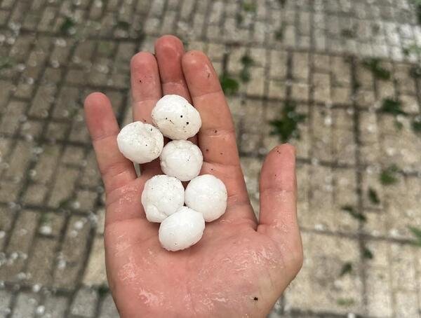 عکس ظهر
