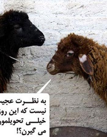عکس های جالب عید فطر