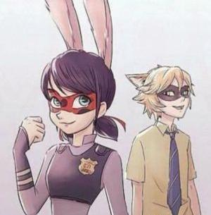 عکس کت نوار جدید
