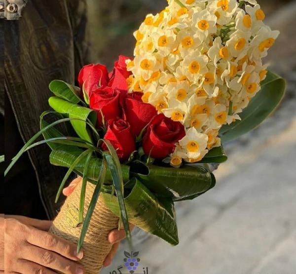عکس گل رز زیاد