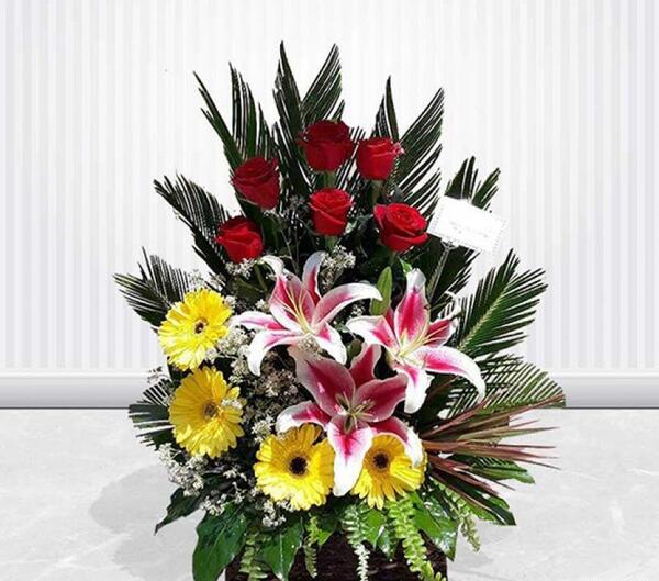 عکس گل رز زیاد