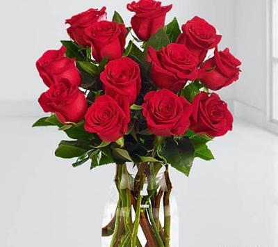 عکس گل رز زیاد