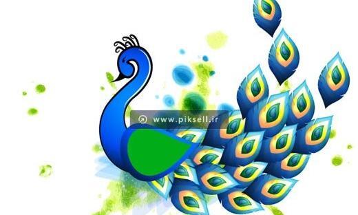 عکس کارتونی طاووس