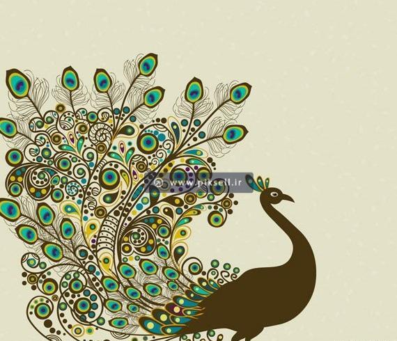 عکس کارتونی طاووس