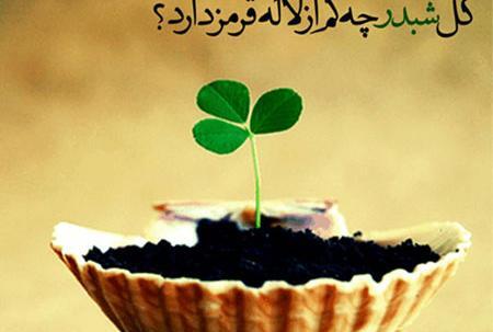 عکس نوشته های زیبا فلسفی