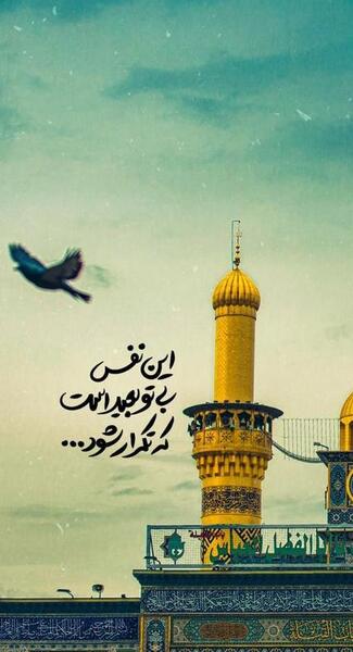 عکس کاشت ناخن یوتیوب