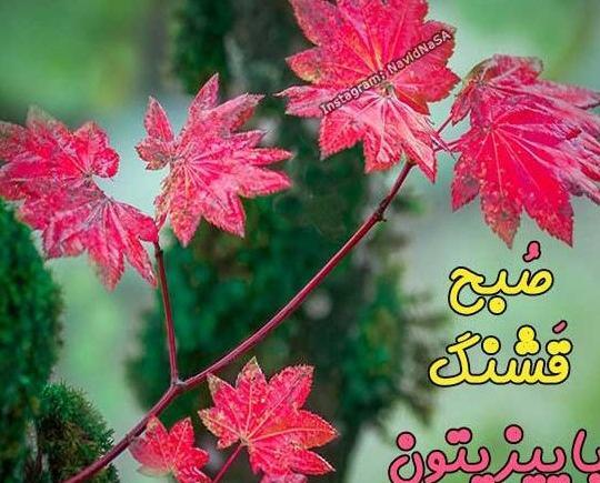 عکس پاییزی سلام صبح بخیر