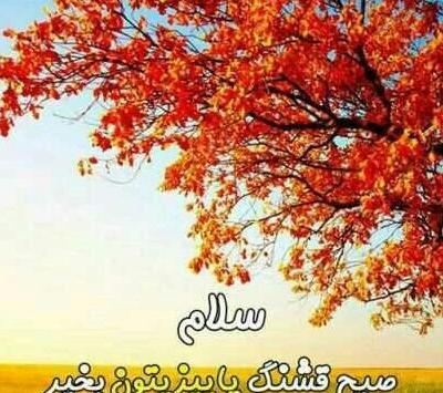 عکس پاییزی سلام صبح بخیر