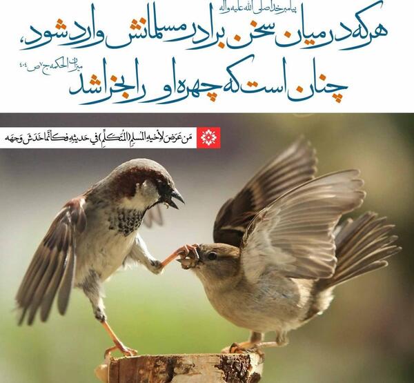 عکس امام زمان عج الله تعالی فرجه الشریف