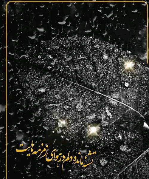 عکس حرم امام حسین گیف