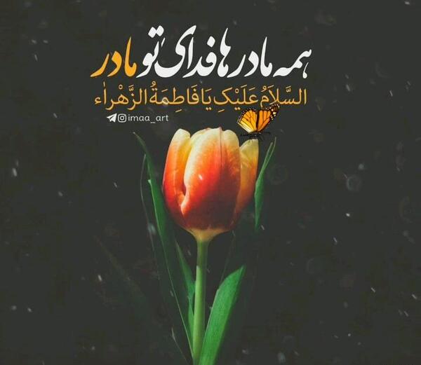 عکس حرم امام حسین گیف
