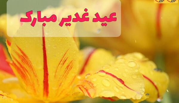 عکس حرم امام حسین گیف