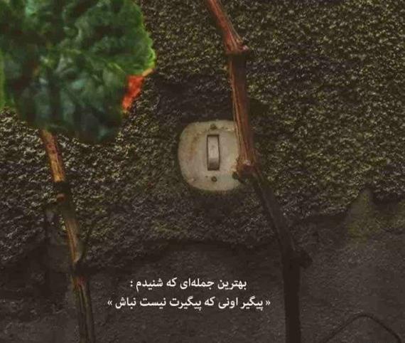 عکس خاص برای هایلایت اینستاگرام