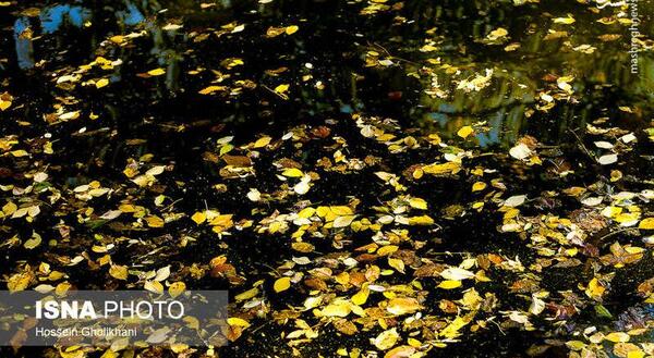 عکس نوشته آخرین ماه پاییز