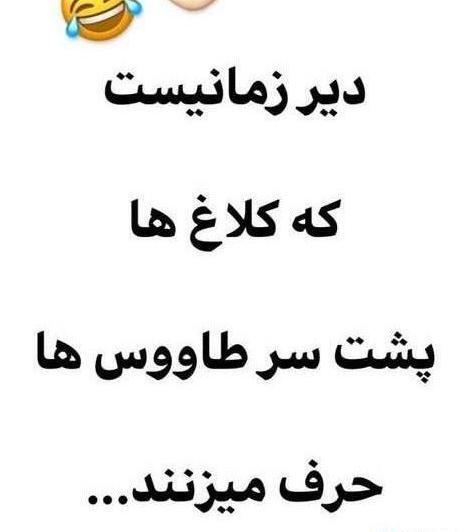 عکس نوشته شوهر حسود