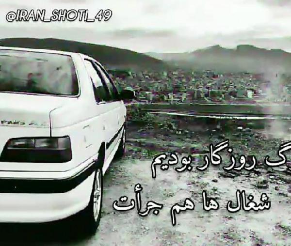 بهترین عکس شوتی