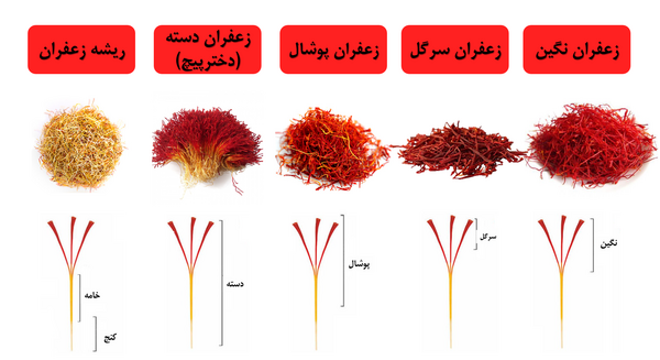 بهترین عکس های زعفران