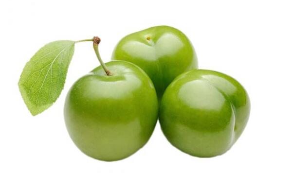 عکس شکوفه درخت گوجه سبز