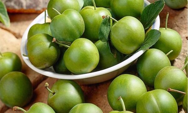 عکس شکوفه درخت گوجه سبز