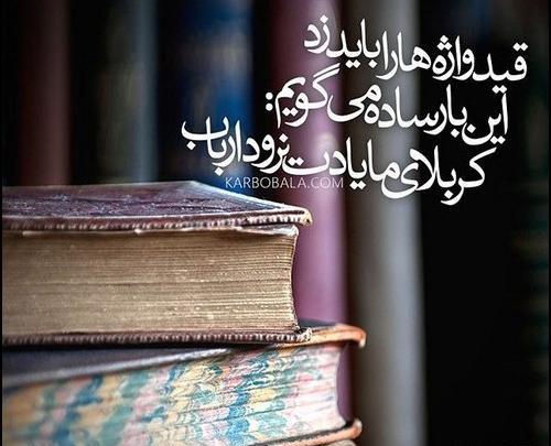 عکس کربلا رفتن خود را به رخ ما نکشید