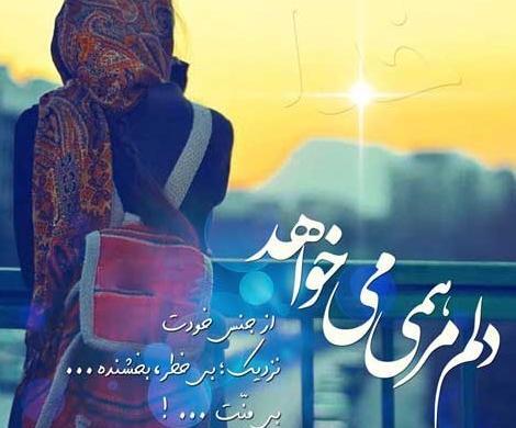 عکس حرمو گنبد دلمو هوایی کرد