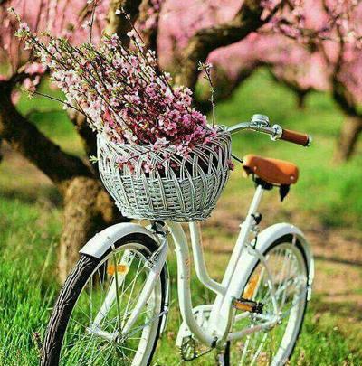 عکس زیبا زندگی