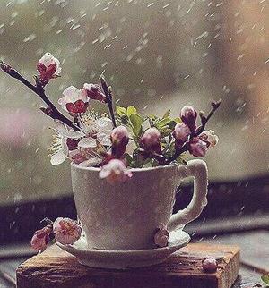 عکس زیبا زندگی