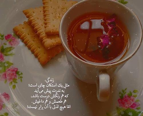 عکس زیبا زندگی
