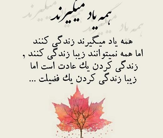 عکس زیبا زندگی