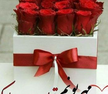عکس تبریک تولد زنم