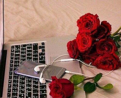 عکس های جدید و زیبای ولنتاین