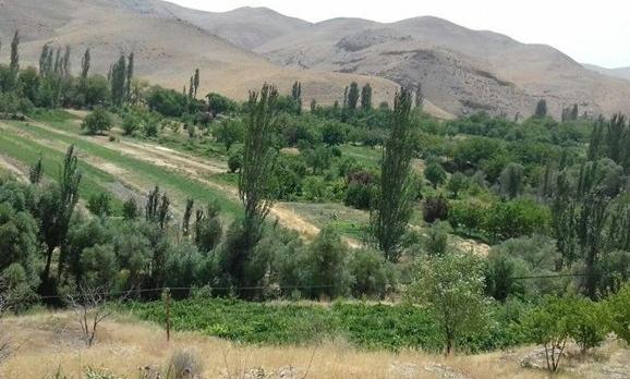 عکس از طبیعت شهریور ماه