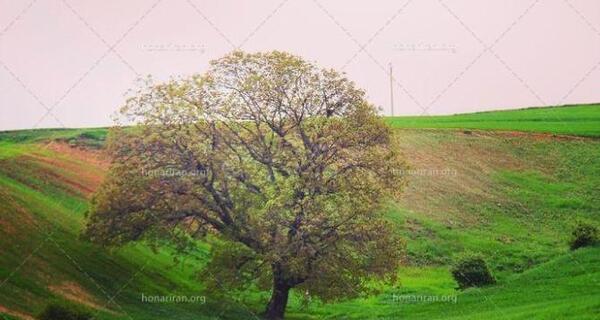 عکس از طبیعت شهریور ماه