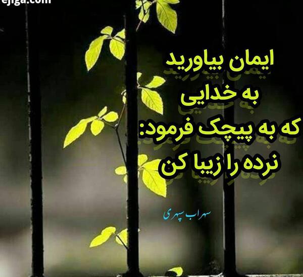 عکس بهنام خدایی