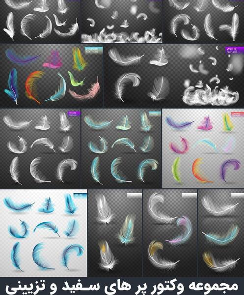 عکس دانلود وکتور پر