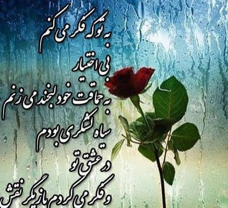 عکس ضربان قلب منظم