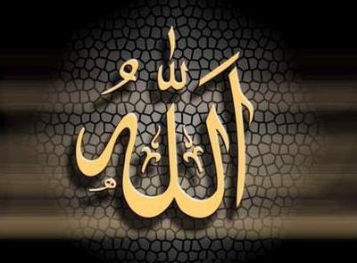 عکس ضربان قلب منظم