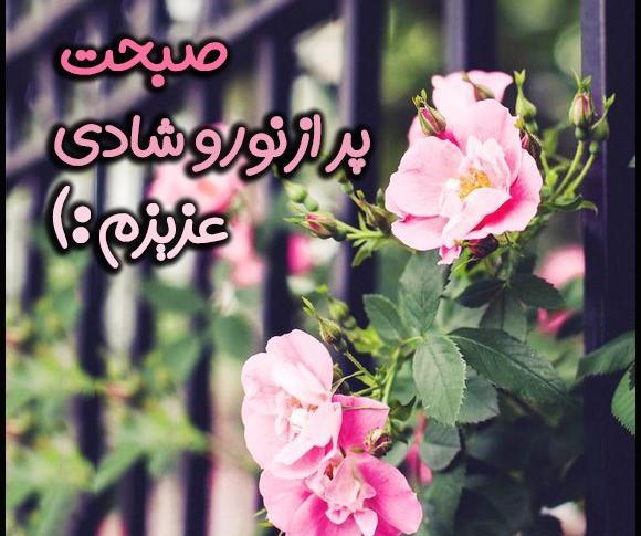 عکس گل ظهرتون بخیر