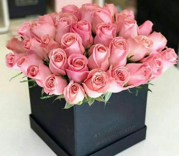 عکس گل ظهرتون بخیر