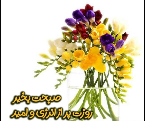 عکس گل ظهرتون بخیر