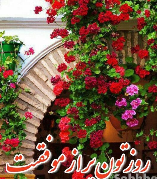 عکس گل ظهرتون بخیر