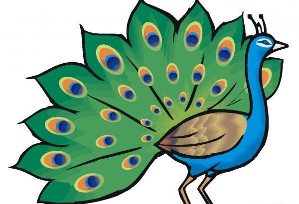 عکس نقاشی کودکانه طاووس