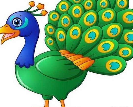 عکس نقاشی کودکانه طاووس