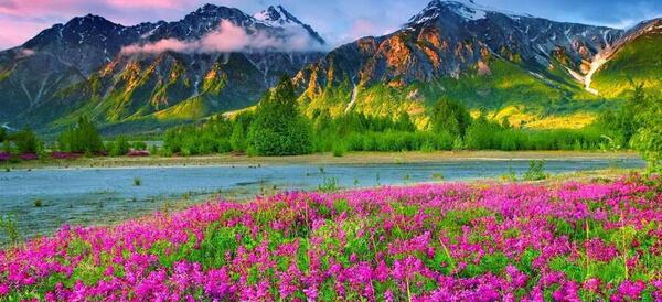 عکس طبیعت بهاری چین