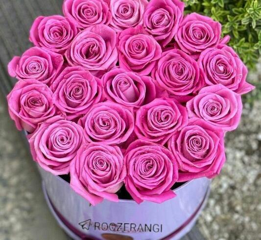 عکس داماد های گلم روزتون مبارک
