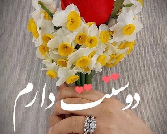 عکس نوشته امین جان دوستت دارم