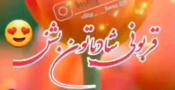 عکس حیوان سونیک