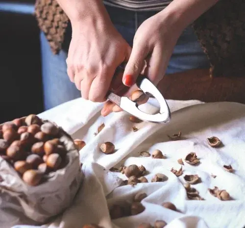 عکس شیر فندق