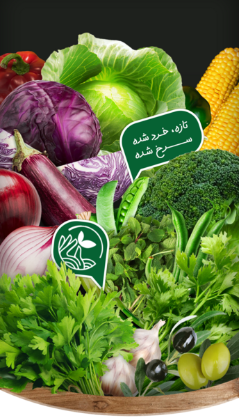 عکس شیر فندق