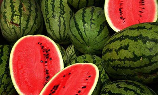 عکس هندوانه سیاه ژاپنی